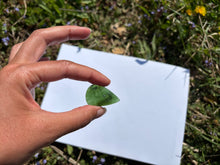 Charger l'image dans la galerie, Jade Néphrite 23