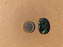 Charger l'image dans la galerie, Abalone 67