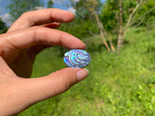 Charger l'image dans la galerie, Abalone 69