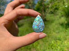 Charger l'image dans la galerie, VENDU Abalone 73