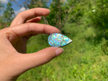 Charger l'image dans la galerie, VENDU Abalone 73