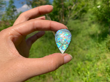 Charger l'image dans la galerie, VENDU Abalone 73