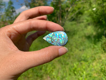 Charger l'image dans la galerie, VENDU Abalone 73