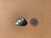 Charger l'image dans la galerie, Abalone 74