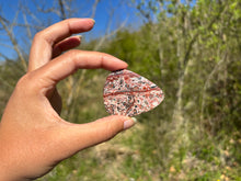 Charger l'image dans la galerie, Jaspe Léopard 1