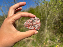 Charger l'image dans la galerie, Jaspe Léopard 1