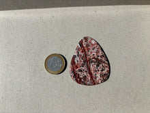 Charger l'image dans la galerie, Jaspe Léopard 1