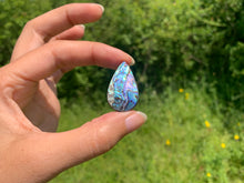 Charger l'image dans la galerie, VENDU Abalone 78