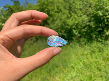 Charger l'image dans la galerie, VENDU Abalone 78