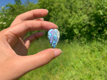 Charger l'image dans la galerie, VENDU Abalone 78