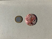 Charger l'image dans la galerie, Jaspe Léopard 2