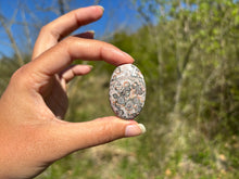 Charger l'image dans la galerie, Jaspe Léopard 3