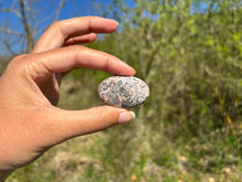 Charger l'image dans la galerie, Jaspe Léopard 3
