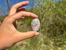 Charger l'image dans la galerie, Jaspe Léopard 3