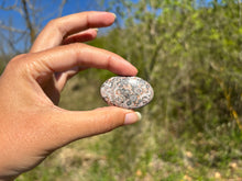 Charger l'image dans la galerie, Jaspe Léopard 3