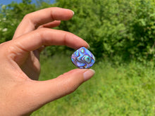 Charger l'image dans la galerie, VENDU Abalone 79