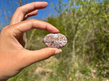 Charger l'image dans la galerie, Jaspe Léopard 4