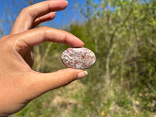 Charger l'image dans la galerie, Jaspe Léopard 4