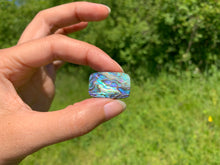 Charger l'image dans la galerie, Abalone 80