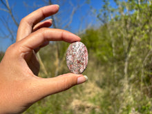 Charger l'image dans la galerie, Jaspe Léopard 4