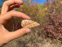 Charger l'image dans la galerie, Calcite 1