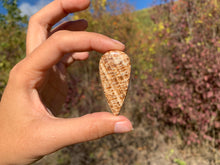 Charger l'image dans la galerie, Calcite 1