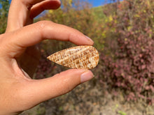 Charger l'image dans la galerie, Calcite 1