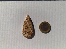 Charger l'image dans la galerie, Calcite 1