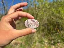 Charger l'image dans la galerie, Jaspe Léopard 5