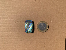 Charger l'image dans la galerie, Abalone 80