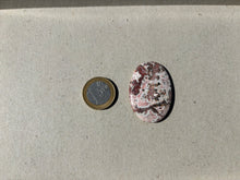 Charger l'image dans la galerie, Jaspe Léopard 5