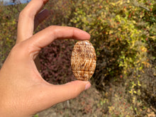 Charger l'image dans la galerie, Calcite 3