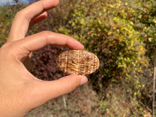 Charger l'image dans la galerie, Calcite 3
