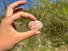 Charger l'image dans la galerie, Jaspe Léopard 6