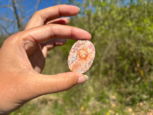Charger l'image dans la galerie, Jaspe Léopard 6