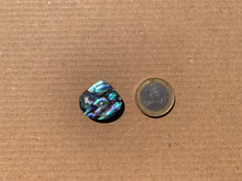 Charger l'image dans la galerie, Abalone 81