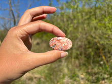 Charger l'image dans la galerie, Jaspe Léopard 7