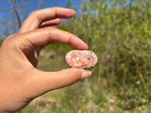 Charger l'image dans la galerie, Jaspe Léopard 7