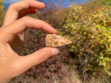 Charger l'image dans la galerie, Calcite 6