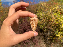 Charger l'image dans la galerie, Calcite 6