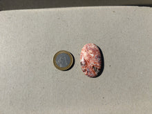 Charger l'image dans la galerie, Jaspe Léopard 7
