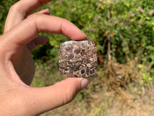 Charger l'image dans la galerie, Jaspe à turritelles 11