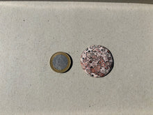 Charger l'image dans la galerie, Jaspe Léopard 8