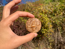 Charger l'image dans la galerie, Calcite 8