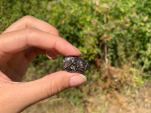 Charger l'image dans la galerie, VENDU Jaspe à turritelles 13