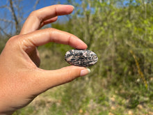 Charger l'image dans la galerie, Jaspe Léopard 9