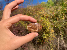 Charger l'image dans la galerie, Calcite 9