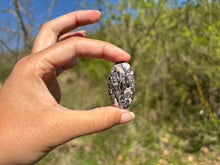 Charger l'image dans la galerie, Jaspe Léopard 9