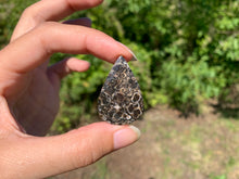 Charger l'image dans la galerie, Jaspe à turritelles 14