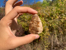 Charger l'image dans la galerie, Calcite 10